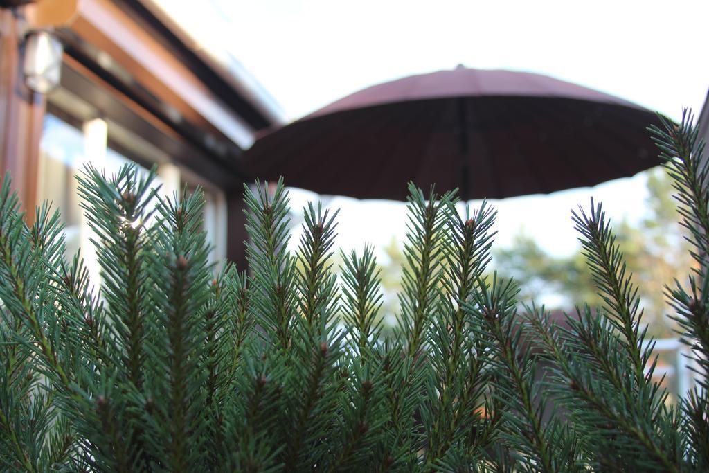 Holiday Terrace Nida Exterior foto